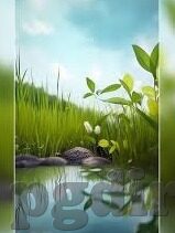 官网足球比分直播-官网足球比分直播，球迷的实时信息盛宴与情感纽带