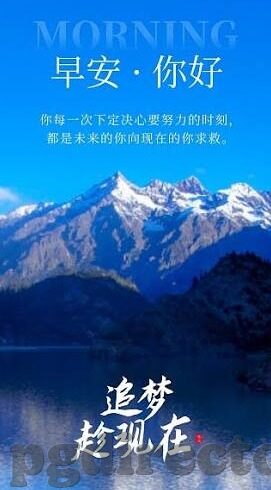 有什么足球比分网-解锁足球观赛新体验，全面解析优质足球比分网