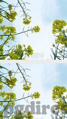 中国菲律宾比分足球-中菲足球交锋，比分背后的热血与期待