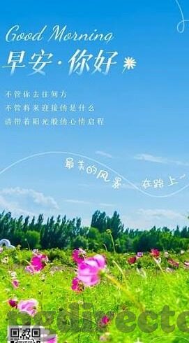 最详细足球比分-深度解析，如何读懂并运用最详细足球比分数据，让你的观赛体验升级