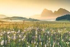 足球比分0.5球-探秘足球比分中的0.5球，规则、影响与策略解析
