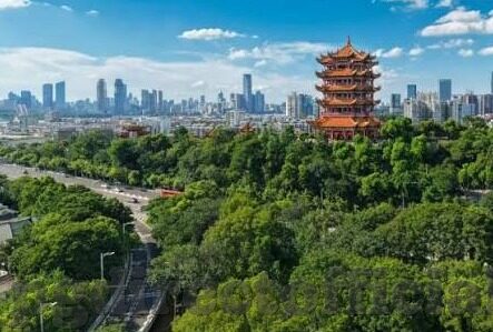 足球比分单数双数-足球比分单双数，绿茵场上的数字密码与博弈艺术