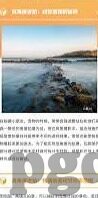 足球比分 足球及时比分-足球比分实时追踪，一场数据背后的激情与策略交响曲